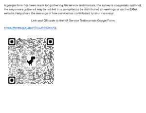 NA Service Testimonials 2026